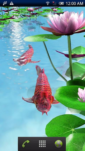 Arowana Paradise Trial