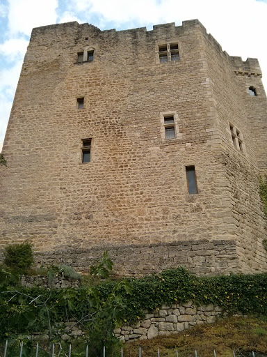 Château De Mollans Sur Ouveze 