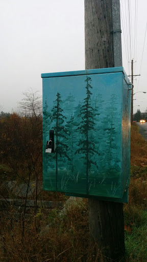 Painted Treed Box 213