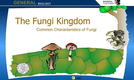 【免費教育App】The Fungi Kingdom-APP點子