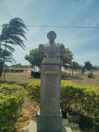 Busto Mariscal Falcon