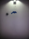 Dolphin on the Wall