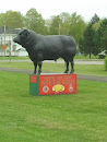 Kingston Steer BBQ Bull