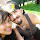 LouieC.Andrade