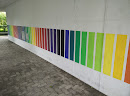 Rainbow Wall 