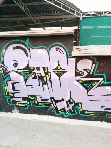 Skonz Grafitti
