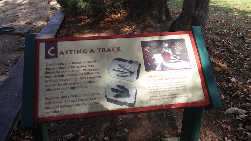 Casting a Track 