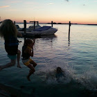 CarolinaSea