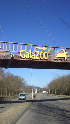 GaiaZoo Bridge