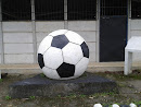 Balón De Soccer Gigante