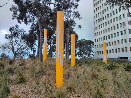 St. Kilda Rd. - Yellow Poles