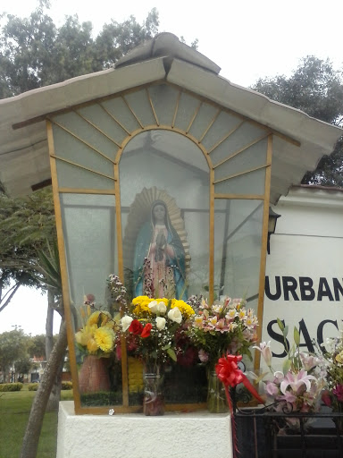 Virgen En El Sagitario