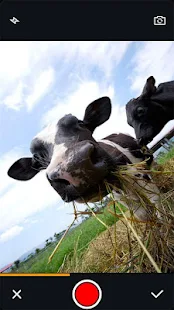 GIF Camera Screenshot