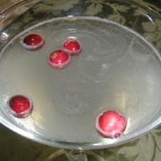 Snow Cosmo