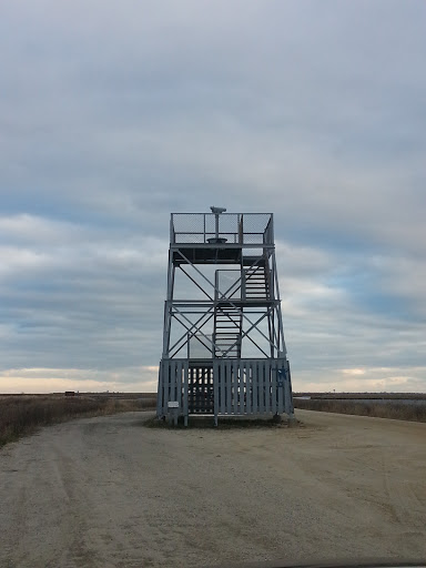 Wildlife Refuge Observation Tower