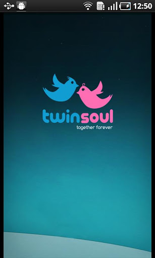 twin soul