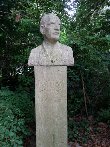 Koltay György
