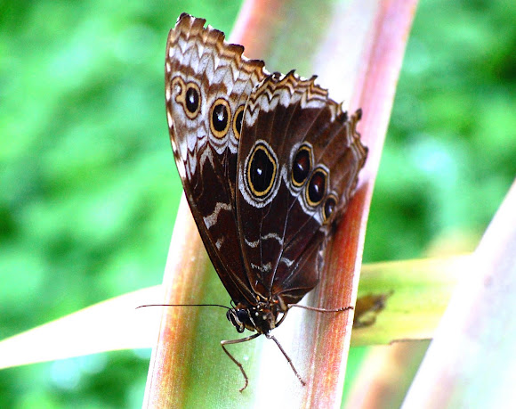 Spotting Image 1