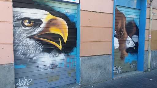 Eagle Murals