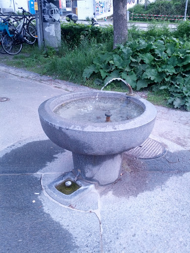 Brunnen am Binz Bahnhof