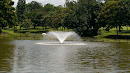 Macritchie Reservoir Fountain