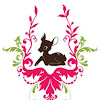 Fawn