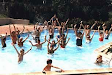 Clases De Natacion Y Juegos Acuaticos Particular