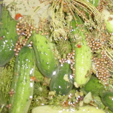 New York Style Deli Pickles