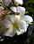 User profile picture thumbnail