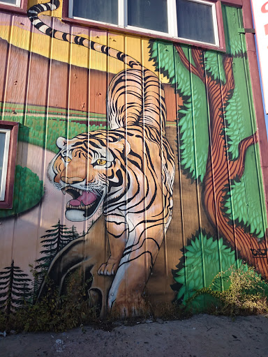 Графити Тигр
