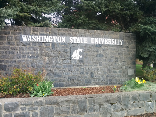 Washington State University Sign