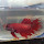 Fish of the world
