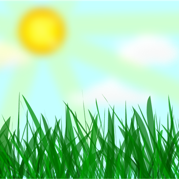 Sunny day » drawings » SketchPort