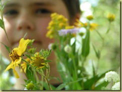 summer 2008 142