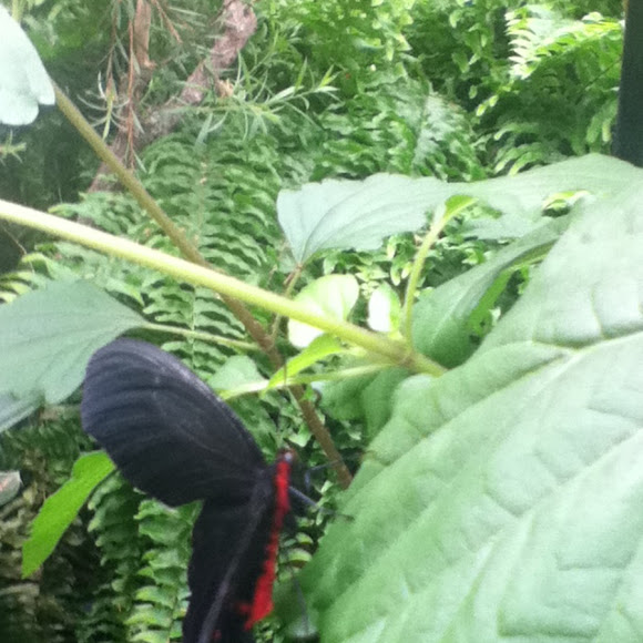 Spotting Image 1
