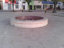 Fuente De La Estacion Peñarol