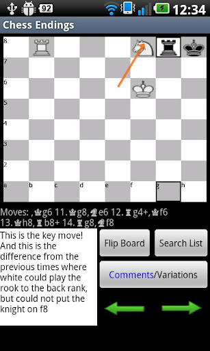 Chess Endings