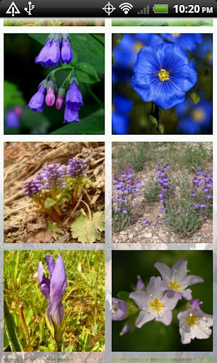 【免費書籍App】Wildflowers of Cedar Breaks-APP點子