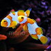 Peces Disco Mayoreo Menudeo Symphysodon 
