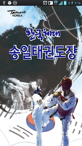 한국체대송일태권도장