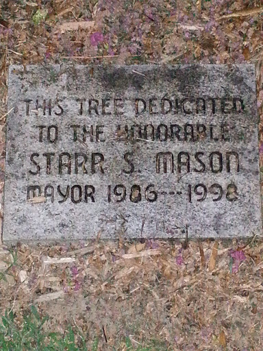 Starr S Mason Memorial Tree