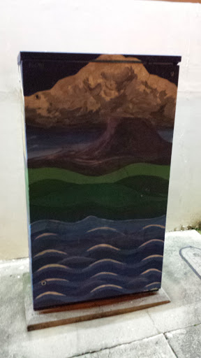 Painted Traffic Box for Jungle