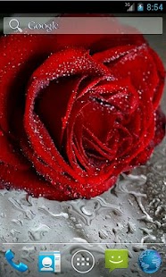 How to install Rose Live Wallpaper lastet apk for laptop