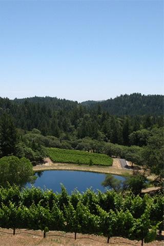 Napa Winery Tour