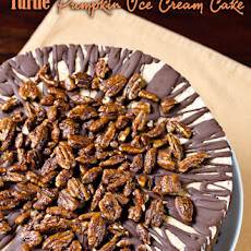 Turtle Pumpkin Ice Cream Cake