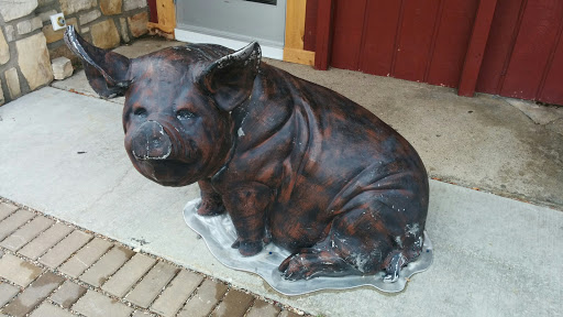 Casey The Bbq Pig.