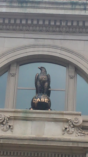 The Case Eagle