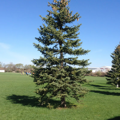 Help Image 3