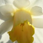 GretelDeRuiter
