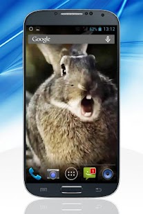 How to download Language of Animals  LiveWP 2.0 mod apk for android